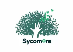 Sycomore